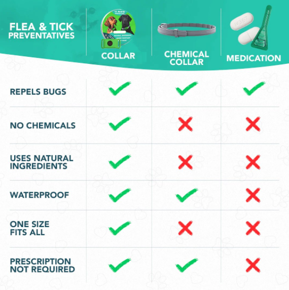⏰Last Day 60% OFF-🐕12 Months Flea and Tick Free