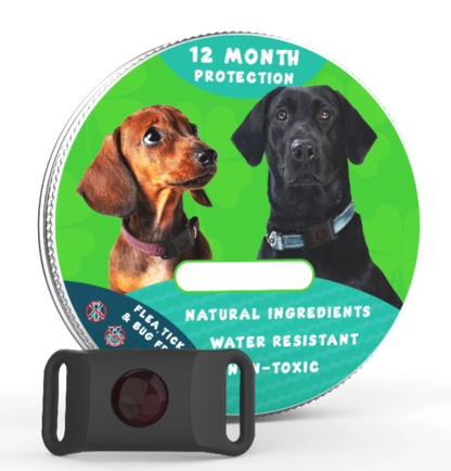 ⏰Last Day 60% OFF-🐕12 Months Flea and Tick Free