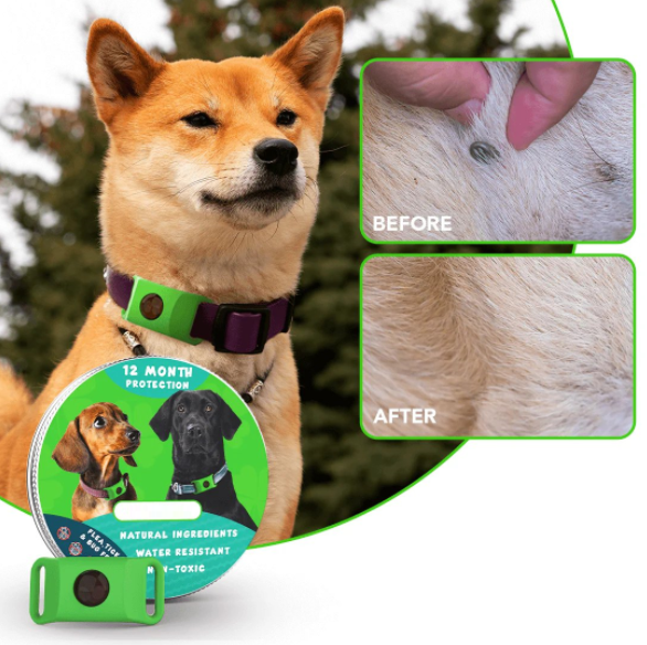 ADAMIT flea and tick pendant for pets