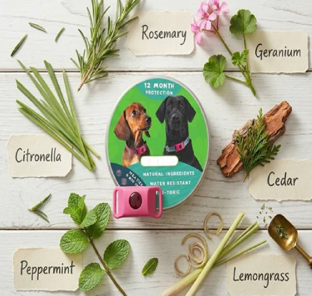 ⏰Last Day 60% OFF-🐕12 Months Flea and Tick Free