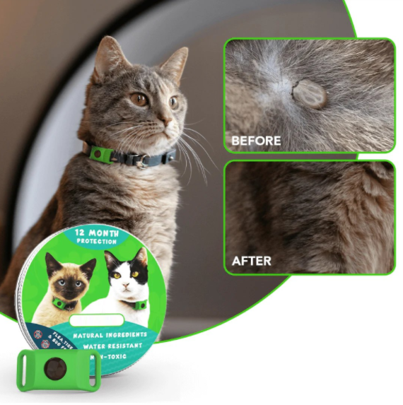 ⏰Last Day 60% OFF-🐕12 Months Flea and Tick Free