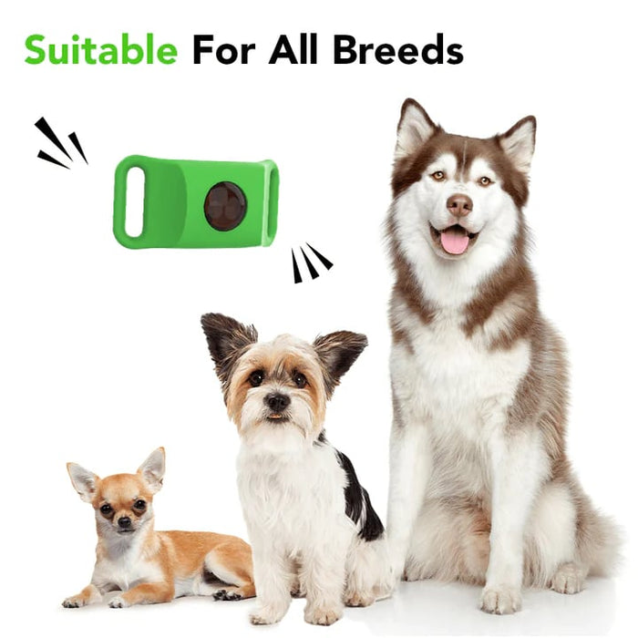 Outdoor pet lifestyle