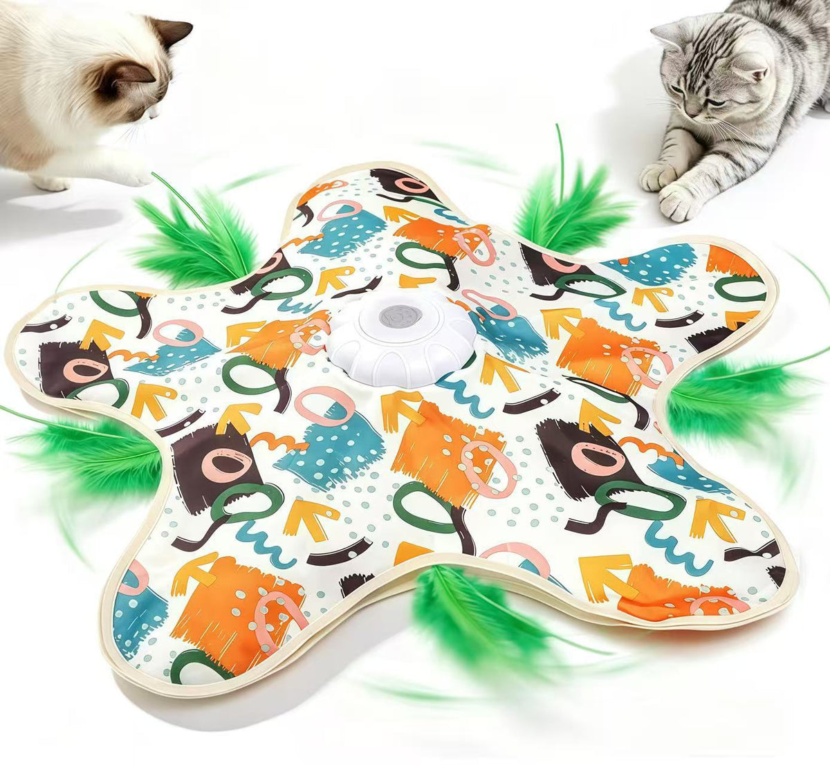 Cat play image 3