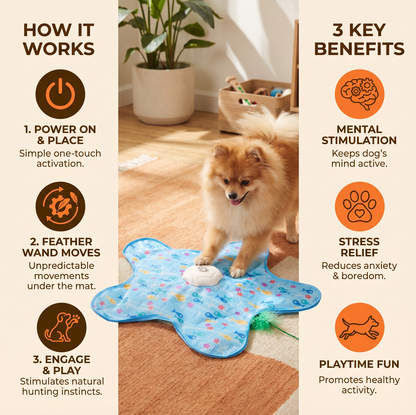 🔥 Last Day 50% OFF-Automatic Interactive Pet Chase Toy – 3 Modes, USB Rechargeable