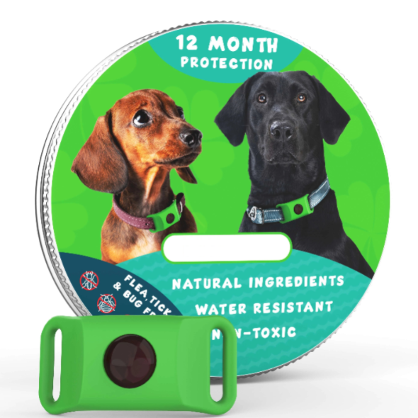 ⏰Last Day 60% OFF-🐕12 Months Flea and Tick Free