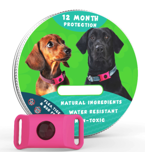 ⏰Last Day 60% OFF-🐕12 Months Flea and Tick Free