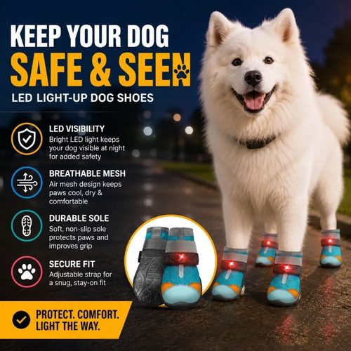 ⚡ Flash Sale Now-Dog Shoes With Built-in LED Light 🐾