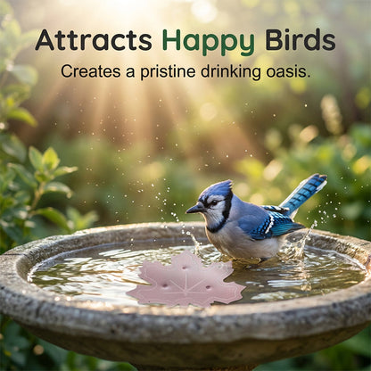 ⏰Buy 1 Get 1 Free⏳🍁Universal Fit Bird Bath Purifier